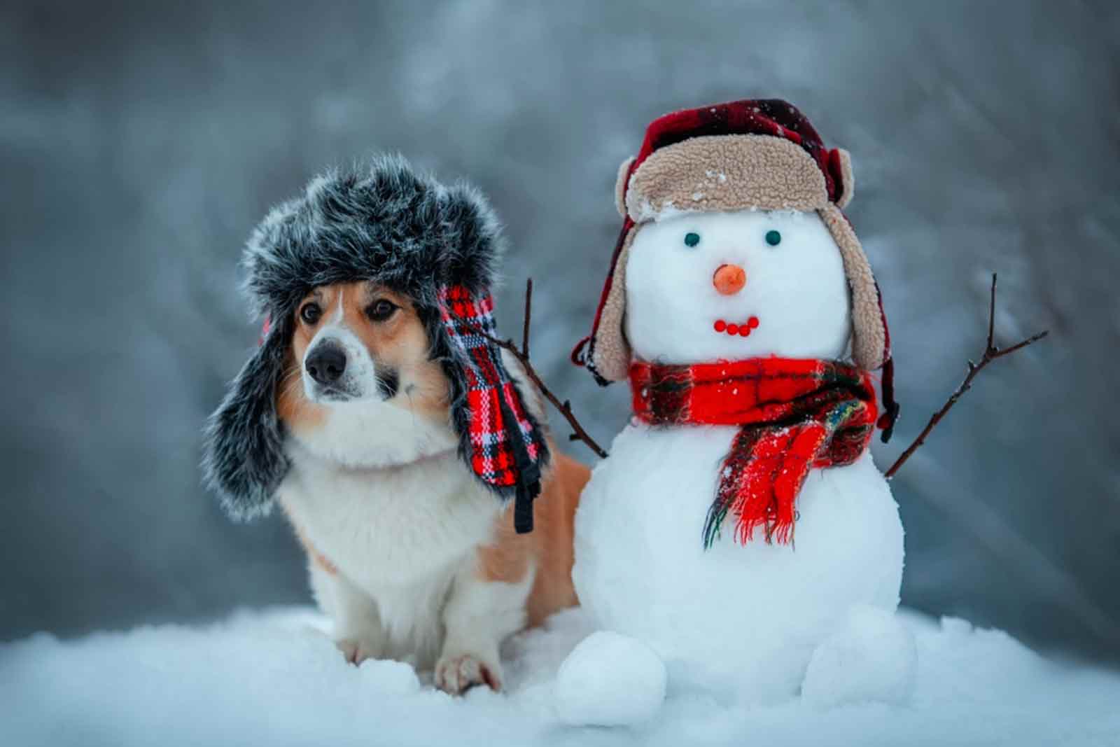Fun Winter Activities for the Whole Family